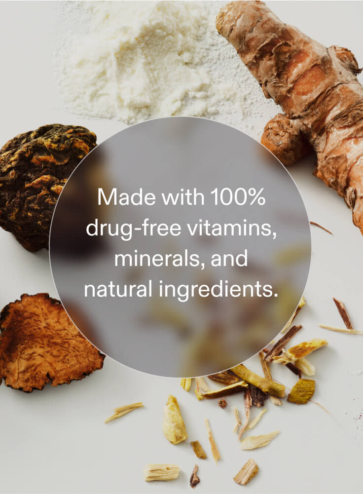 Naile Labs Rebalance